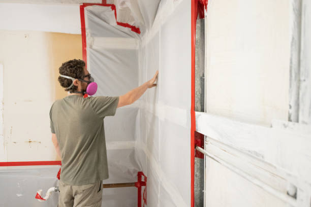 Best Post-Remediation Verification Testing  in Columbus, MN
