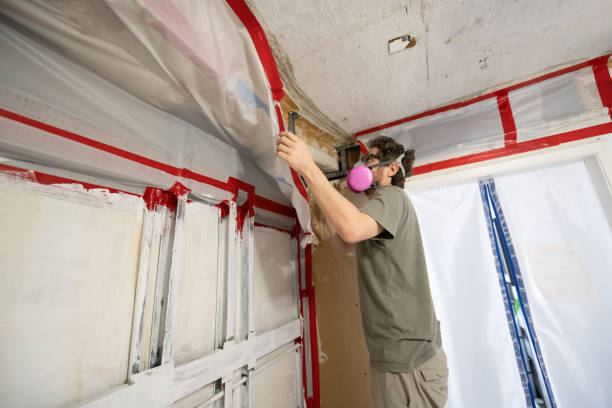 Best Environmental Consulting for Mold Prevention  in Columbus, MN